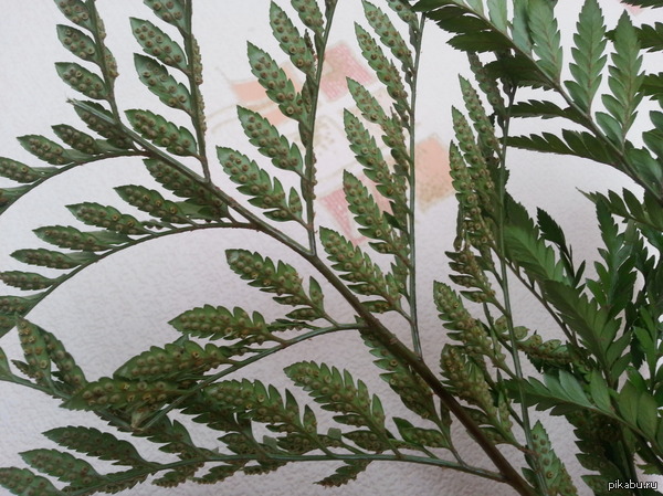  ,  !          ??? WTF?