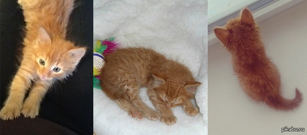 ��� ����� ������� � �������, � ����� ��� � ���� ����� �������� ������� :)