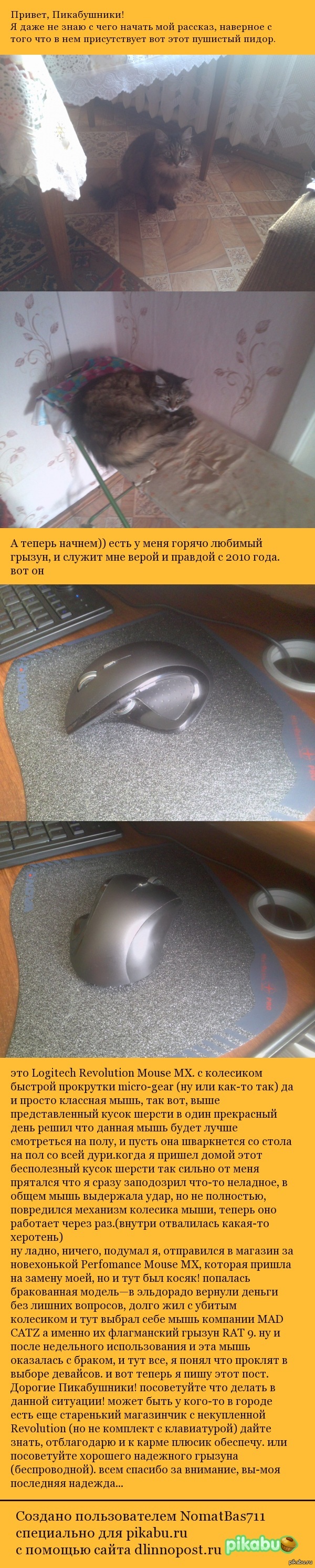 �������� ����� ������, ��� ��� � ��� ������� �� ����� ������������ ����.