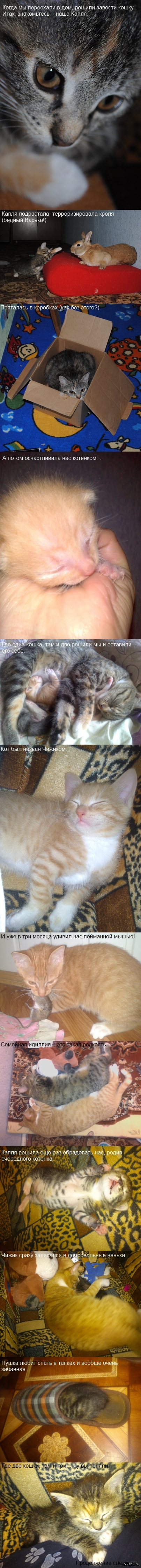 ��� ������� �����.