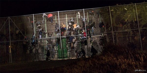 Негроапокалипсис