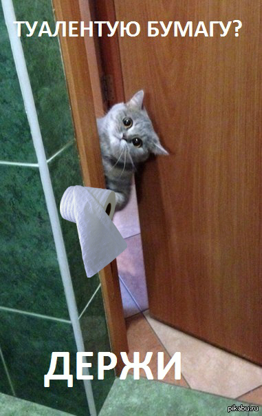 ��������� ����