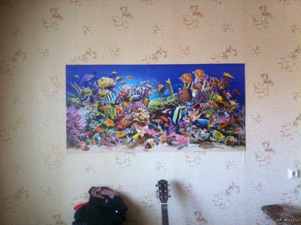 ������� ����