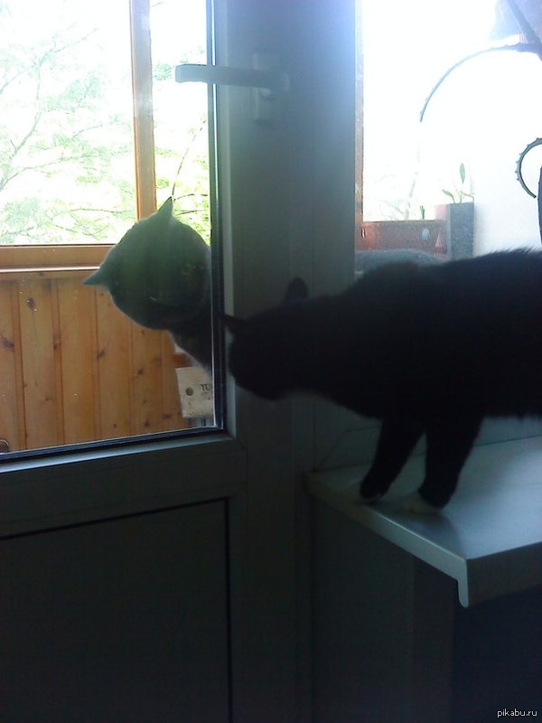 Ну у меня и рожа...