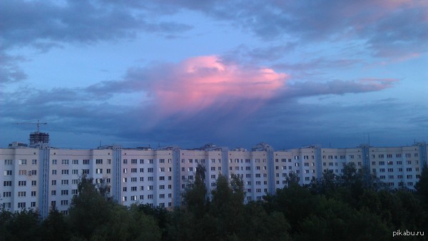 ������  ������