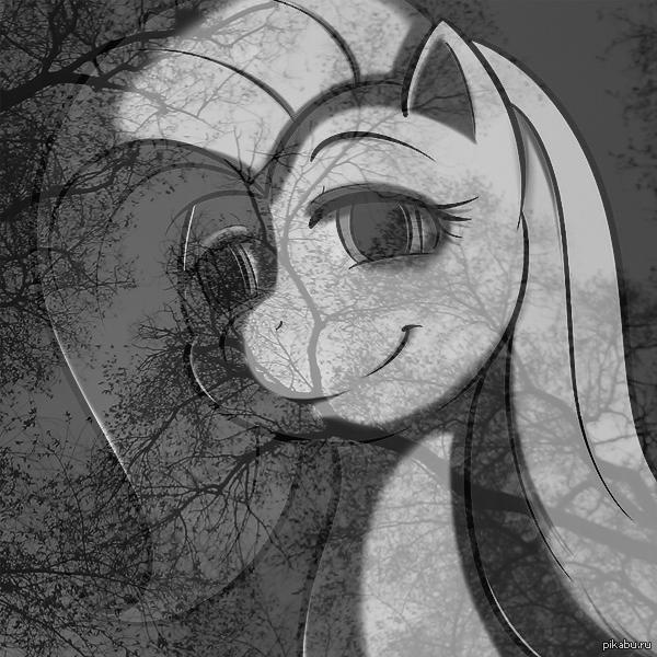 ����� ��� �����������, � ������ �������  "�� ���� ��� �� ������������ ���������, � ��� ���� ��������, ���-��� ��� ���� Flattershy&quo