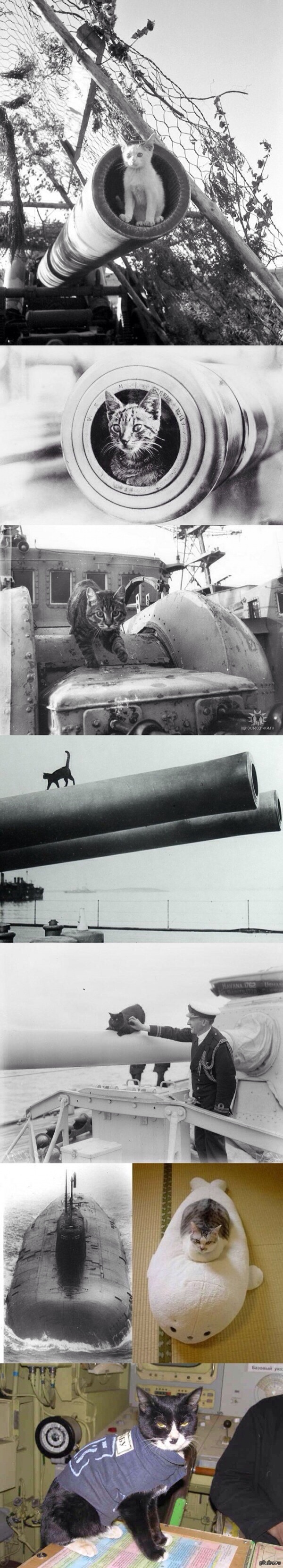 ������� ����