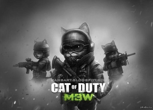 Cat od Duty 
