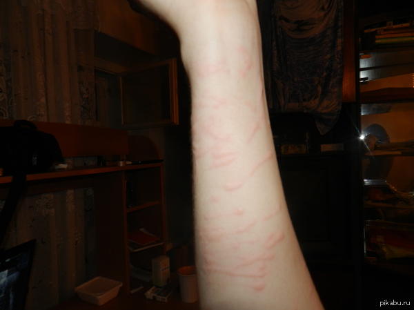 � ������ ����� ���� � ��� � ���...