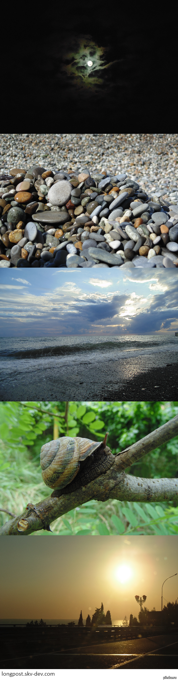 ��� ��� �����