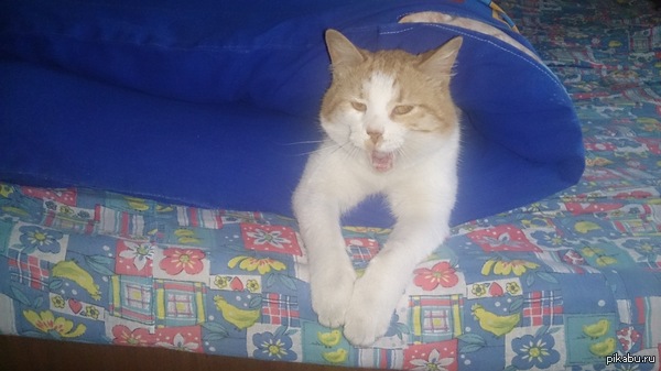 �������� ������