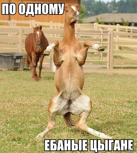 ����� �������� �����-������ ��������� ��� �������..