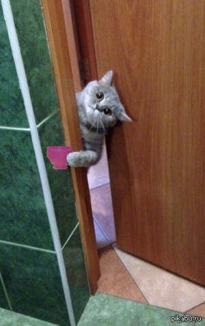 ������� ���?