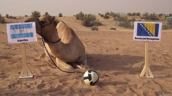 ������� �������������