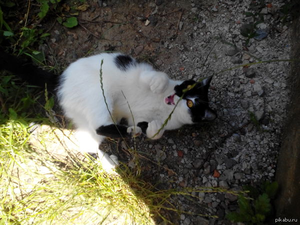 ����� �� ���� � ������� ���� ����� � �����.  �� ������.