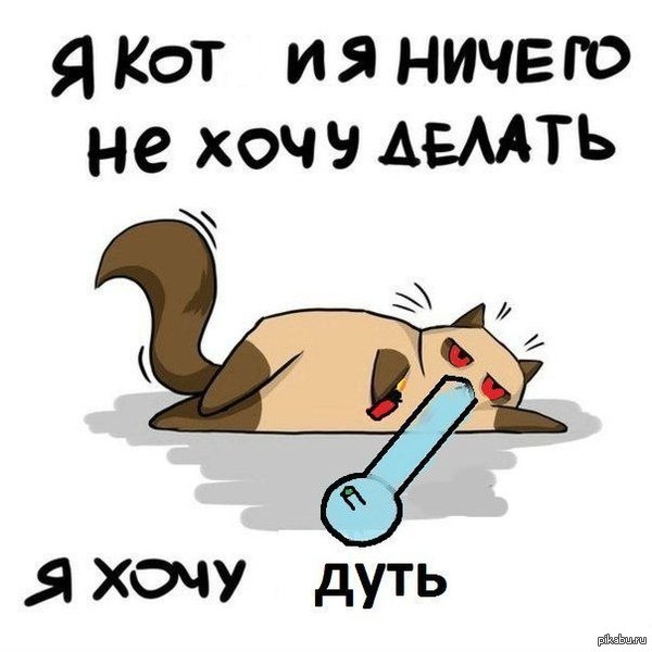 Мур-мур, мурррр... ГАВ! | Пикабу