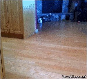 ! ! 