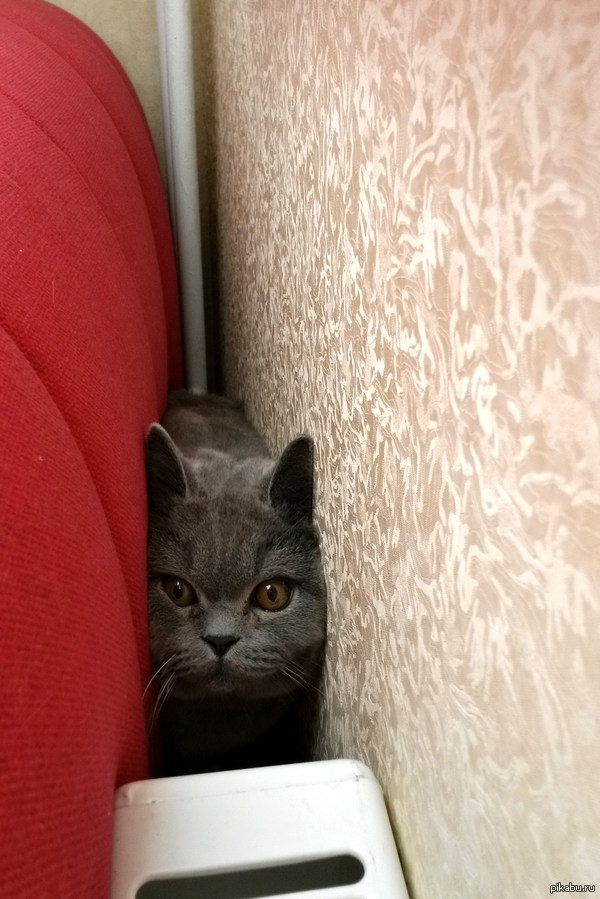 �� ������, "���������������" ����?