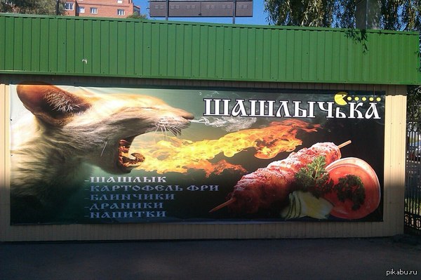 Шашлычка | Пикабу