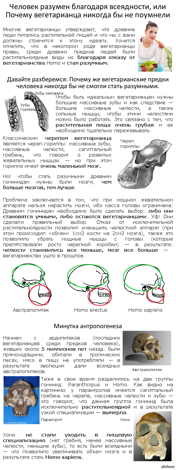 Вегетарианство - эволюционный тупик Homo?