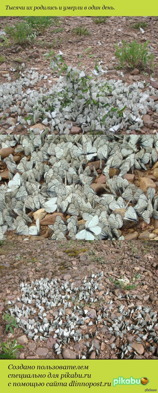 "� ������� ����� ���� ����, ����� �������� � �������"