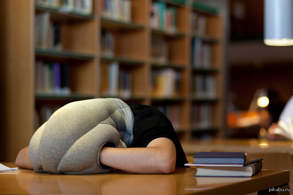  )))) Ostrich Pillow     ,     -         .