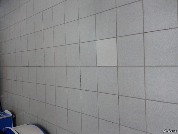 ��� ��������������