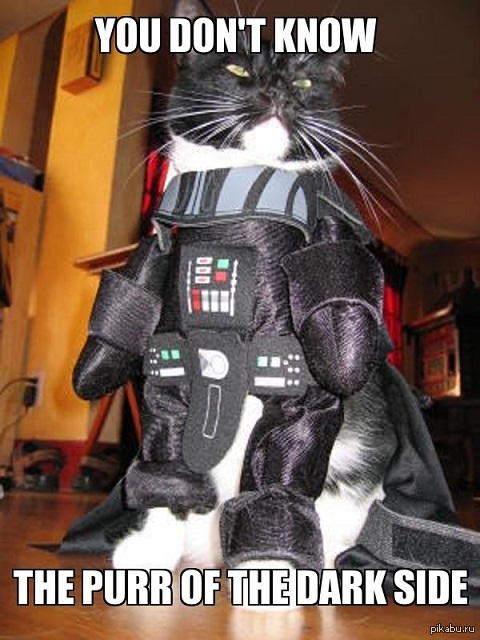 Cat Vader  ,   .