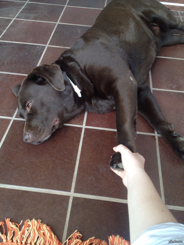 "Волочись за мной"