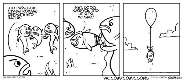 Vendetta по-рыбьи | Пикабу