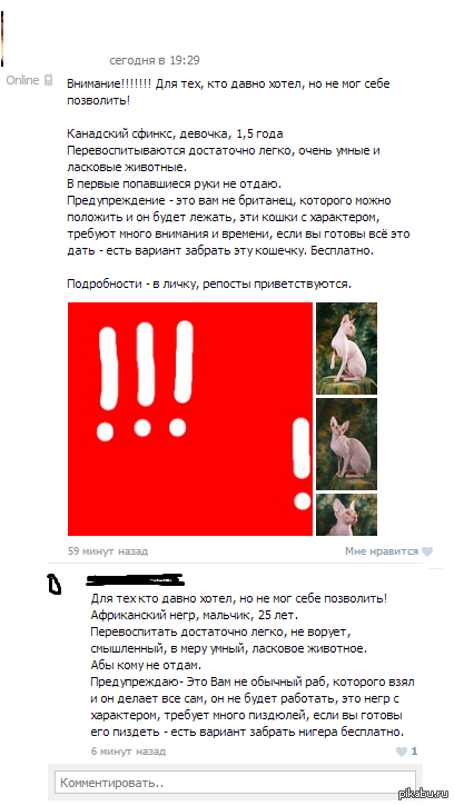 Ох уж эти любители животных