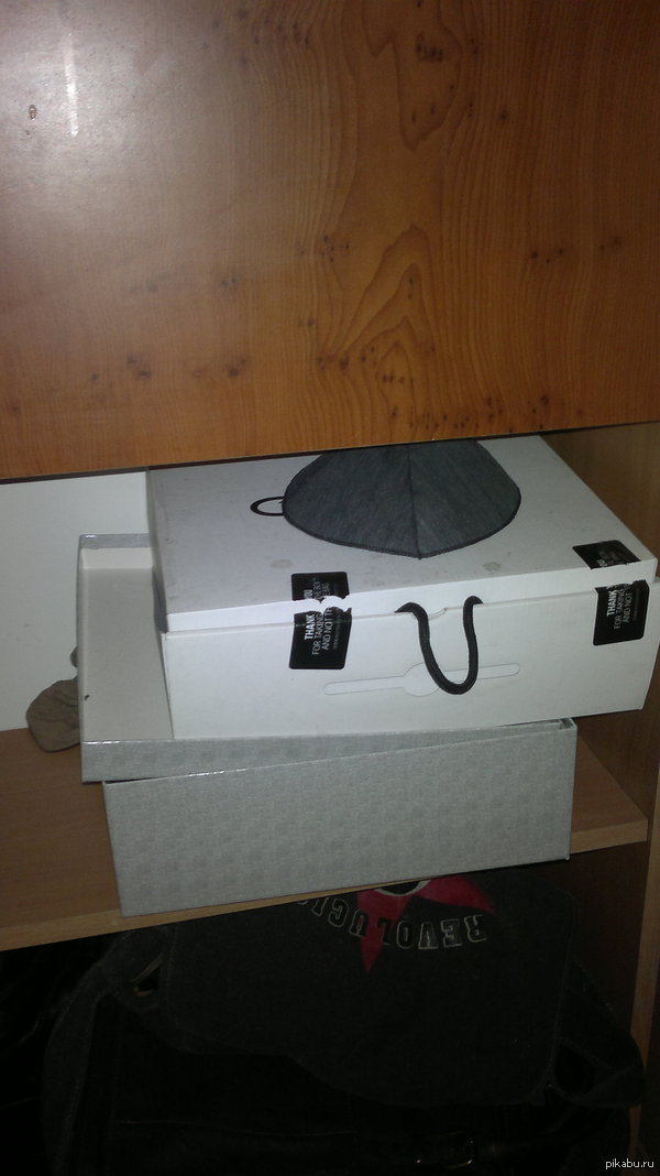 Сегодня заметила ЕГО в своем шкафу, новый питомец