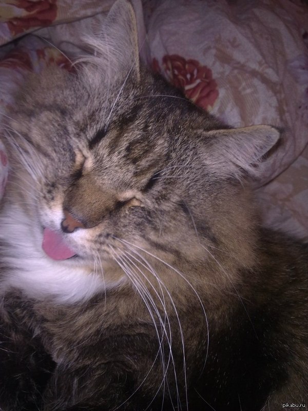 ���������!