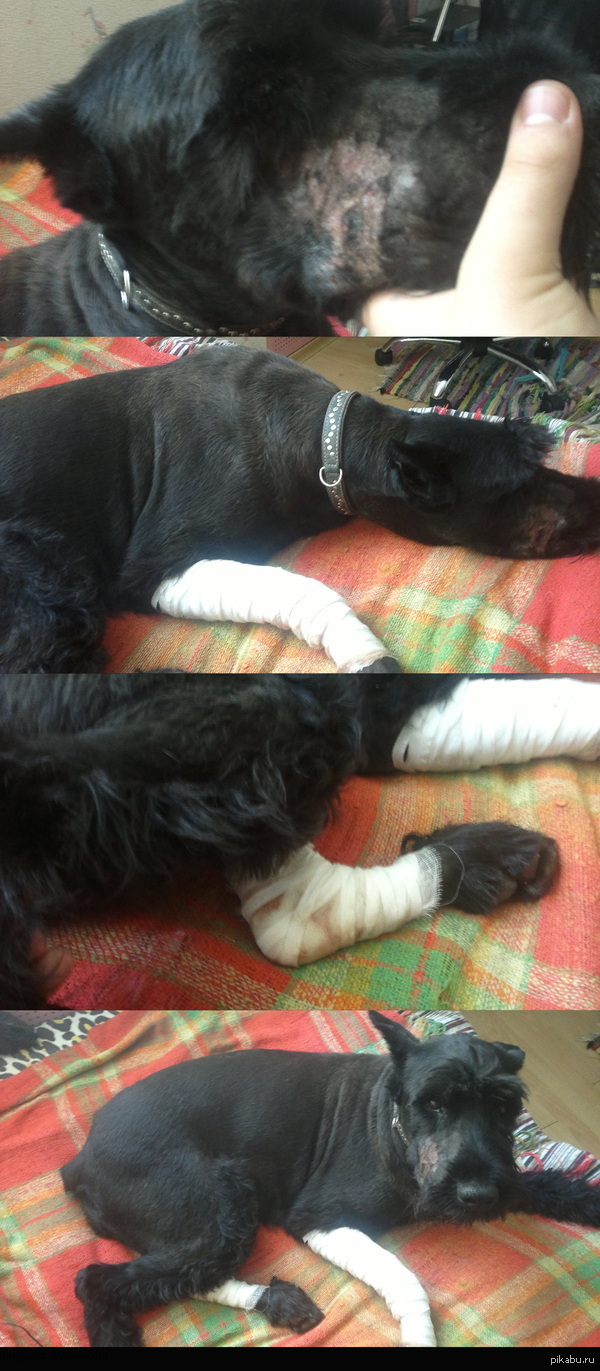 Прошу о помощи . 5 комментариев для минусов внутри . помогите вынести в топ.