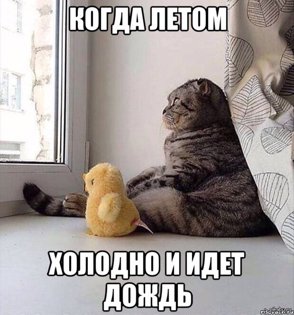 Когда идет дождь