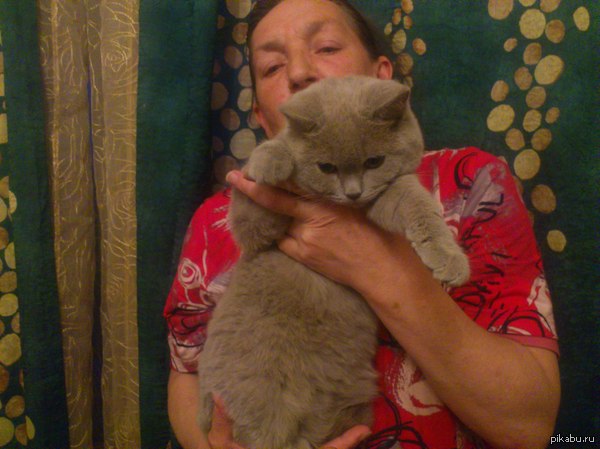 ������� �����������! ����, ��� ����� �����  ���������� �����!!!!  �������� ����� ��� ����� ������ �������.  ���� �������� �� ����!