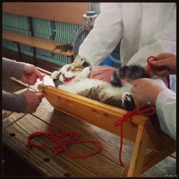 Инквизиция