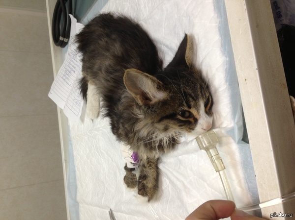 !    .    ,   ,    ,    !