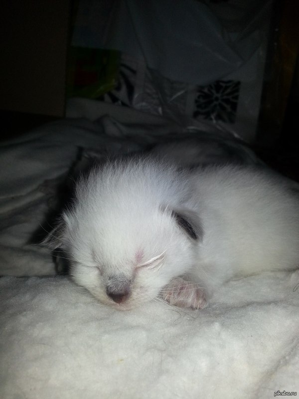 Малыши растут