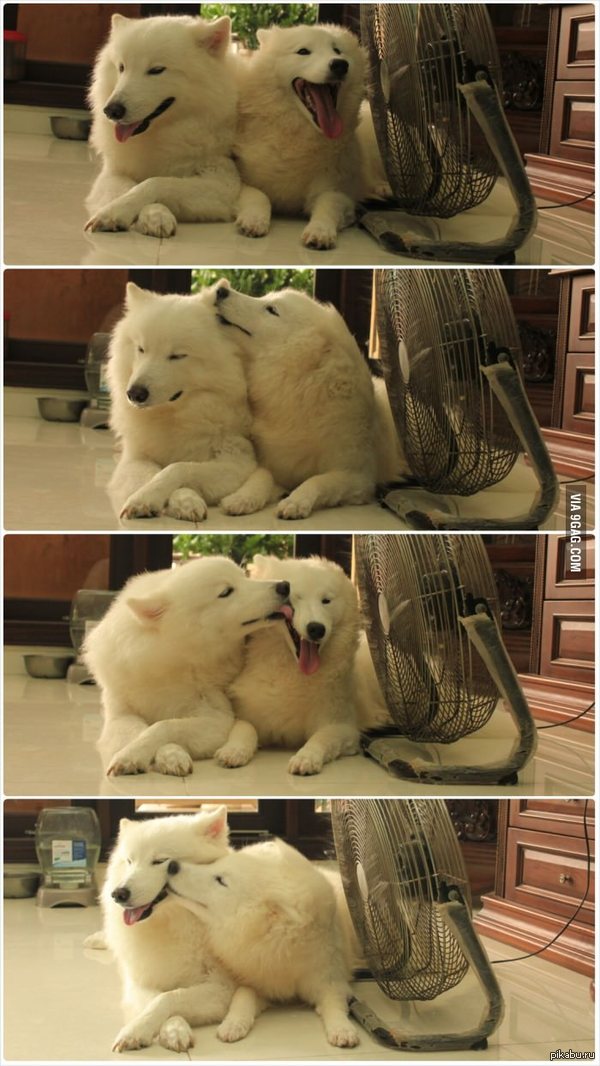  :3 