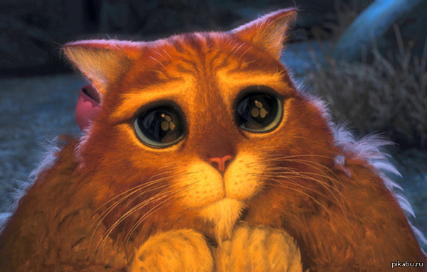 ���� ����� ����� ������