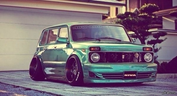 Niva stance    .