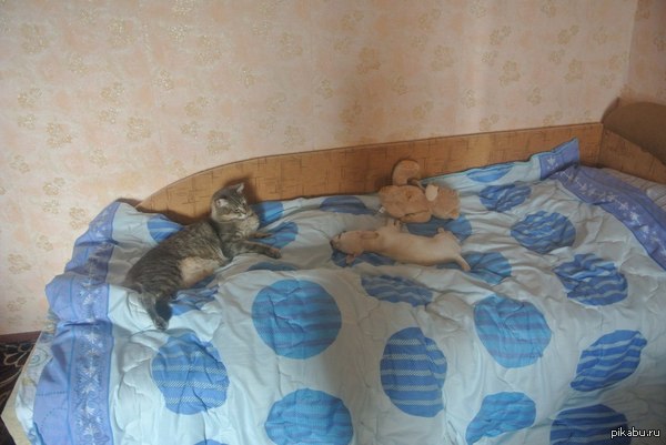 "�� ������ �� ������ �����"