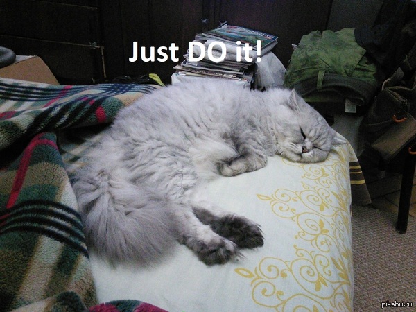 Котейка на отдыхе )