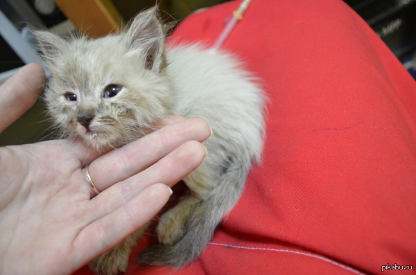 ����� ����� ���� ������, �� ����������� ������������!�������. ����� ����� ���������. ����� ������, ��� � ������� ��� �������