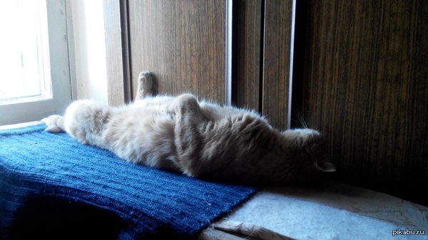 ��� ��� ����� ������ �� �� ������