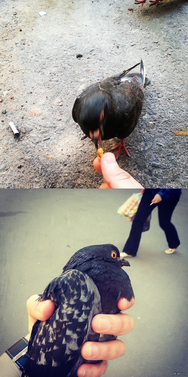 Пока ждал друзей