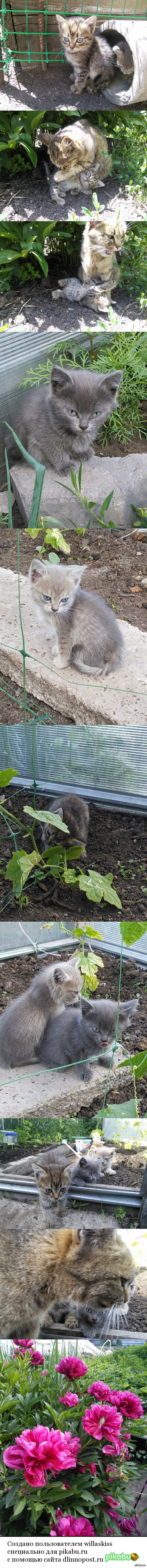 .   ...(   ?).  !))) (      ^_-)