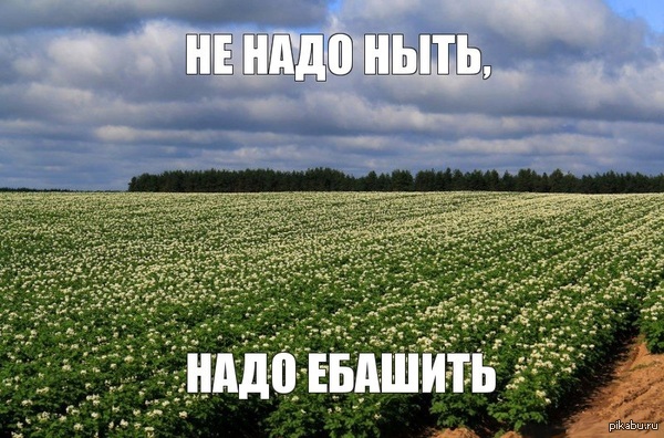     <a href="http://pikabu.ru/story/skhodi_v_armiyu__govorili_oni_2432159#comment_29759743">#comment_29759743</a>