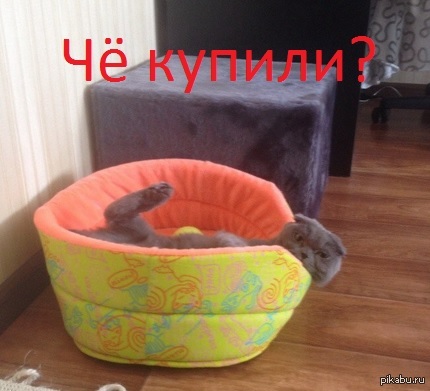 ׸ ������?